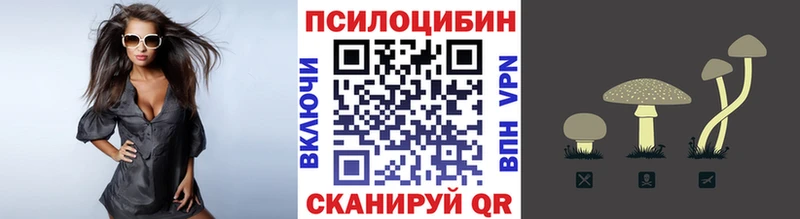 Псилоцибиновые грибы ЛСД  Купить закладки  Алдан 